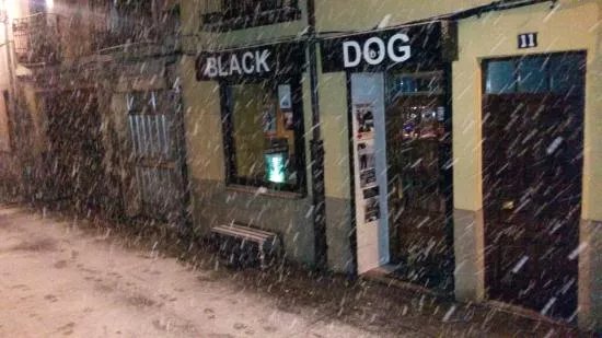 Black Dog