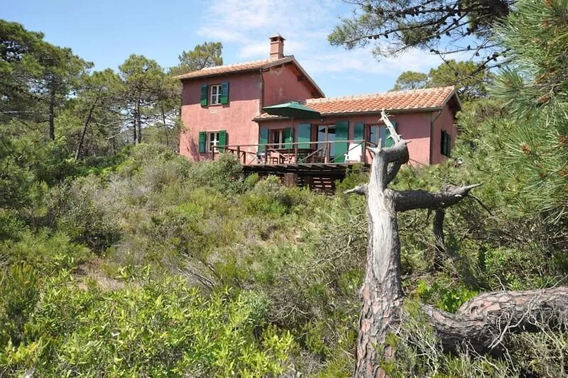 Casamare - Holiday Villa Rental by the Sea in Castiglione della Pescaia, Tuscany