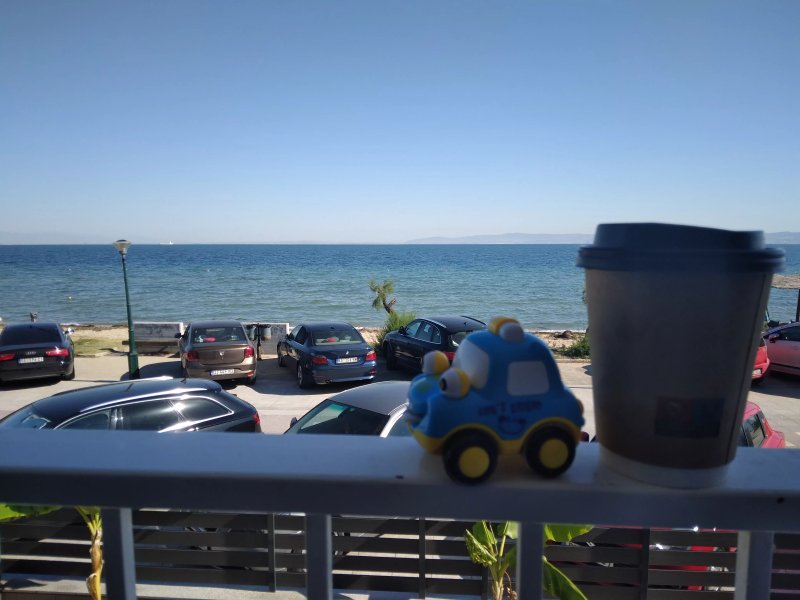 Dodo's Luxury Seaview Studios