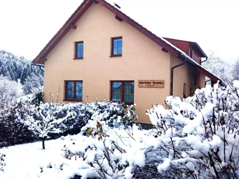 Apartment Brusinka