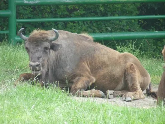 Tierpark Wismar