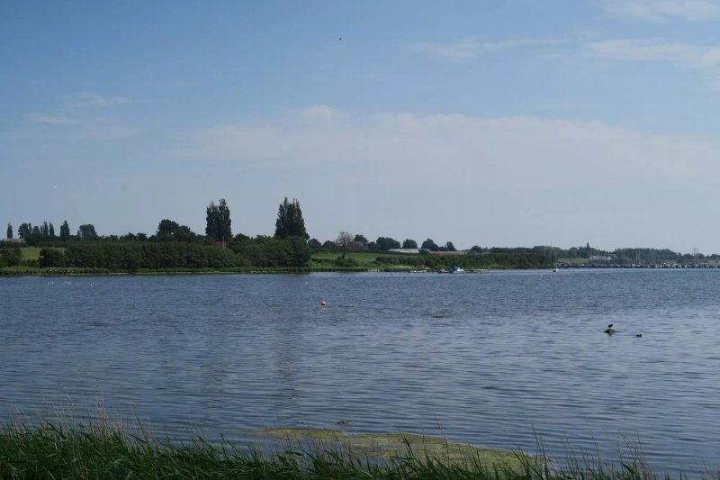 Firklovergaard