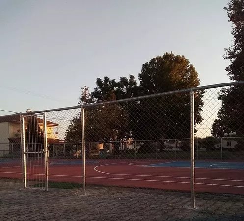Basketakia