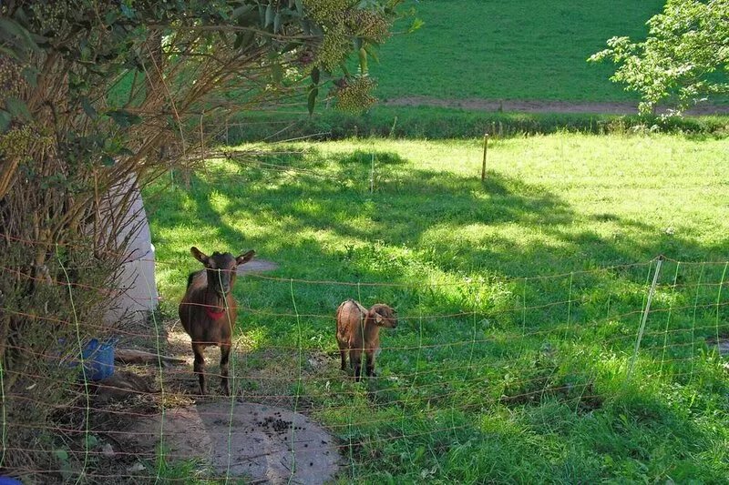 Comfortable holiday home in a beautiful location