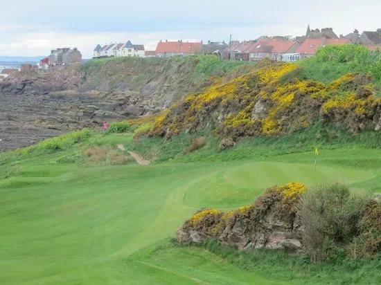 Anstruther Golf Club Marsfield