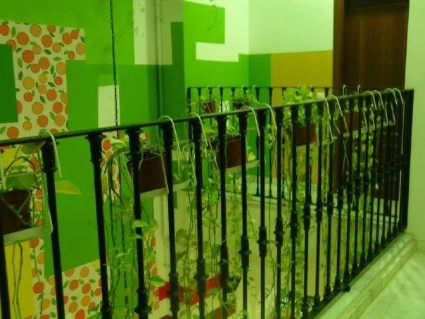 Sevilla Urbany Hostel
