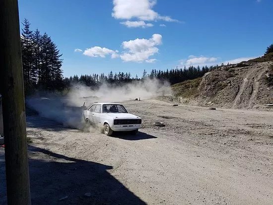 Forest Experience