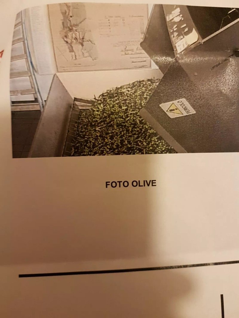 Oliocru