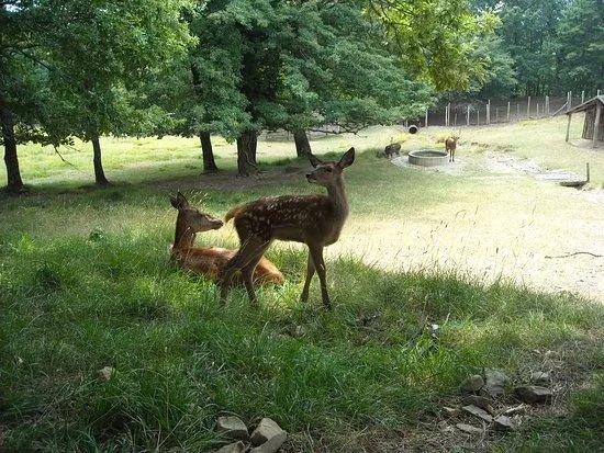 Parco Faunistico di Ranco Spinoso