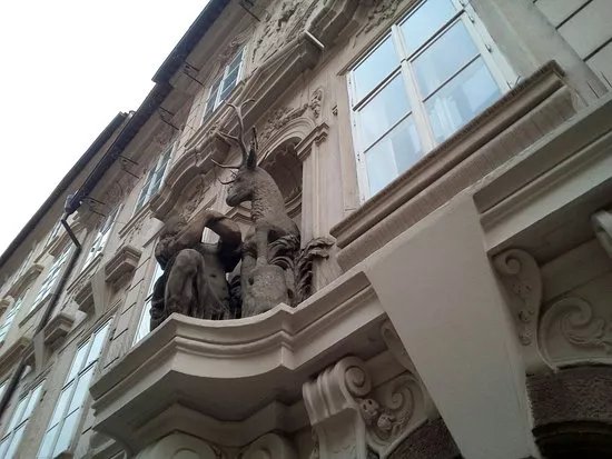 Tomasska 26/4 - The Golden Stag
