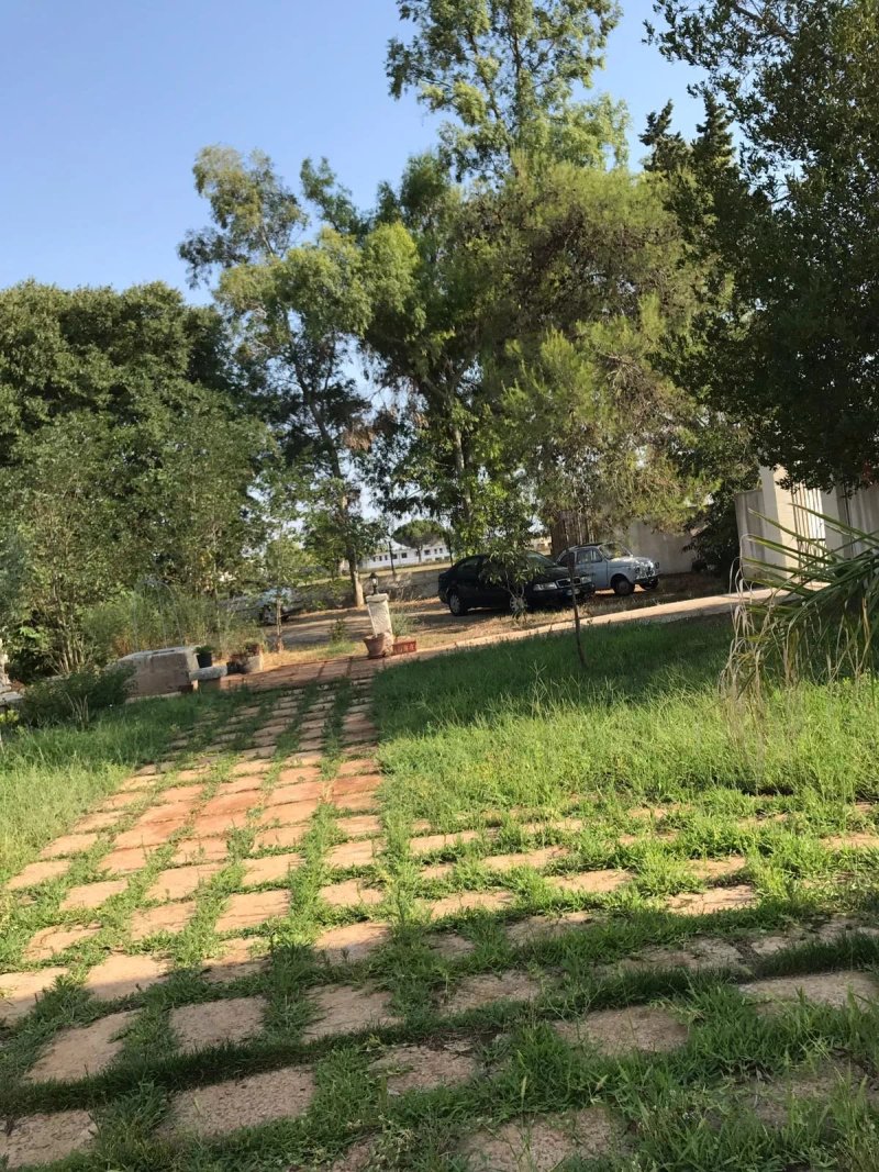 Agriturismo Ciponorco