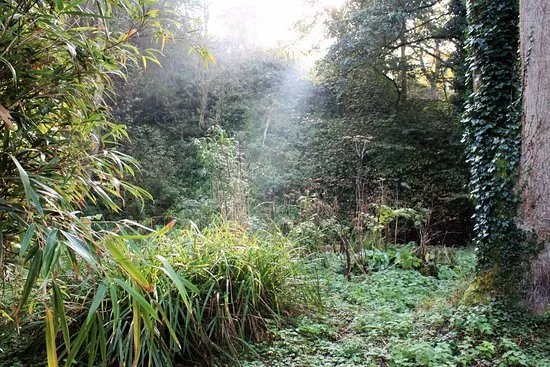 Brockhill Country Park