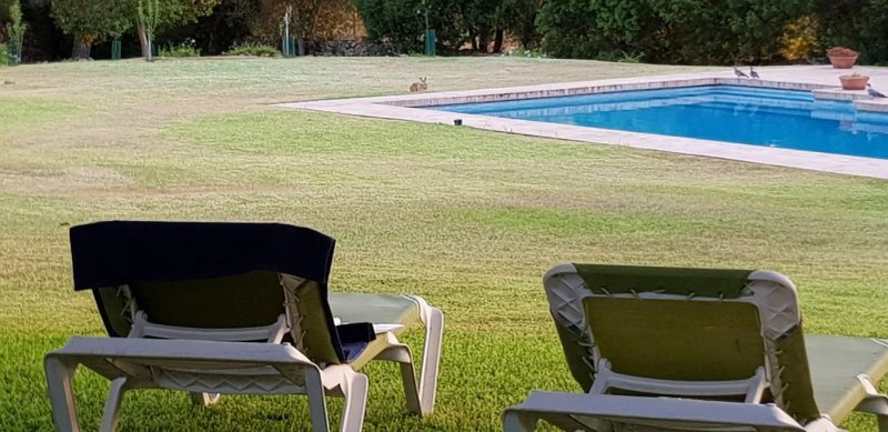 Finca Son Blat