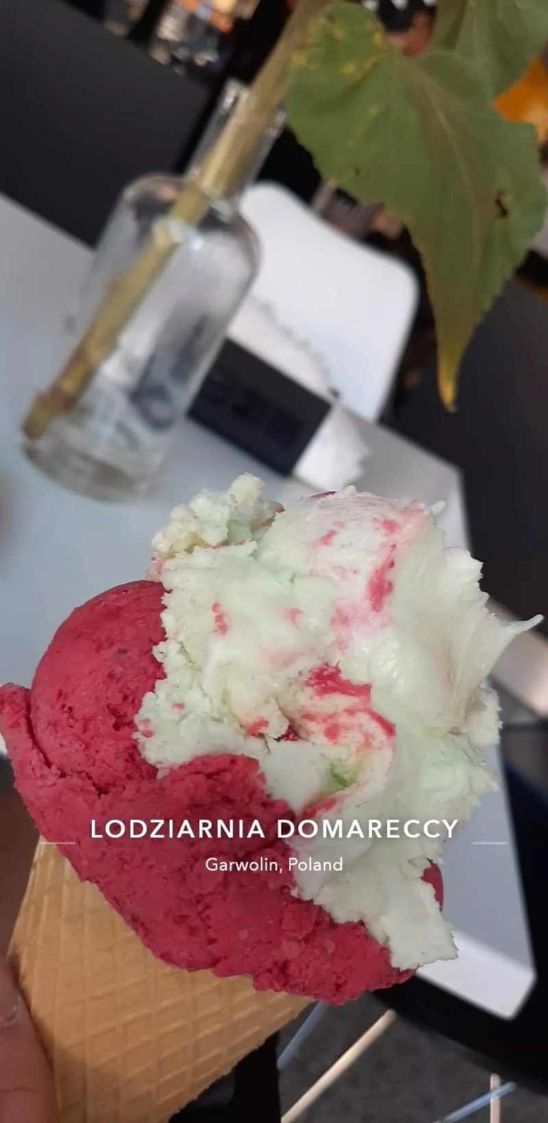 Lodziarnia Domareccy