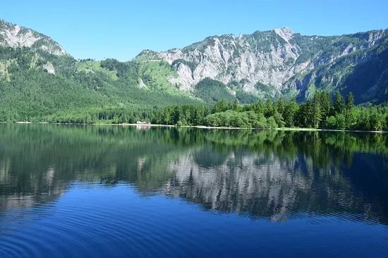 Offensee