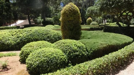 Marivent Garden