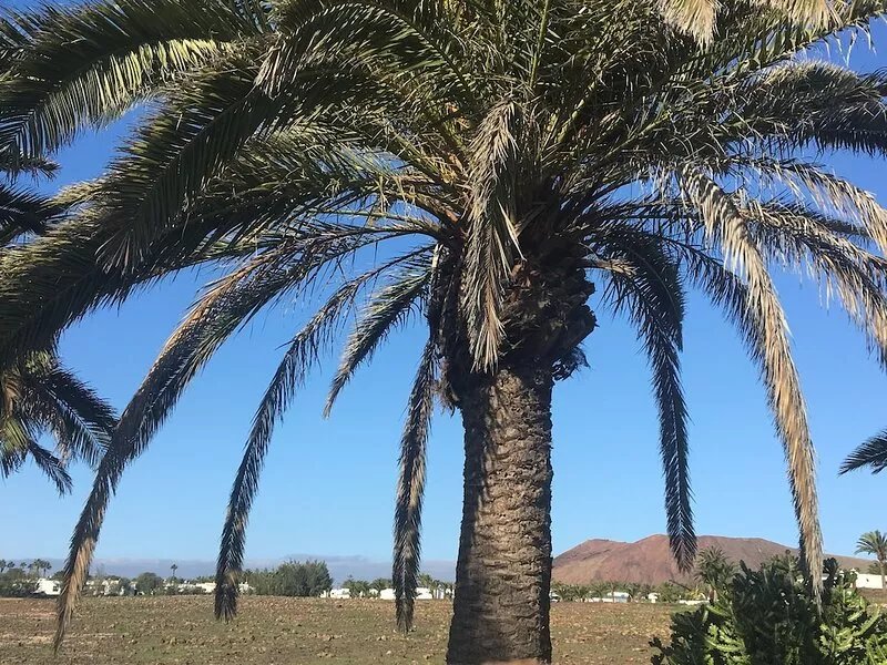 Delightful Villa on the beautiful Casas del Sol site in a superb location