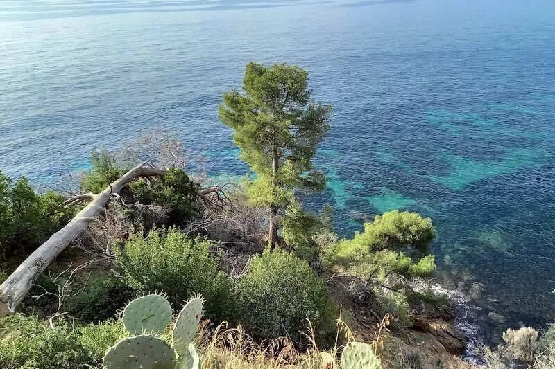 Villa 800 m from the sea, south-facing terrace and swimming pool