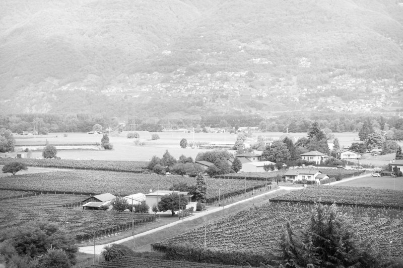 Cantina Il Cavaliere Sa