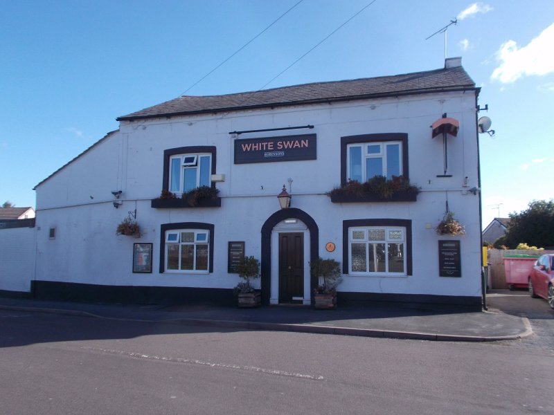 The White Swan