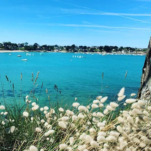 Cosy flat with all comforts in cancale
