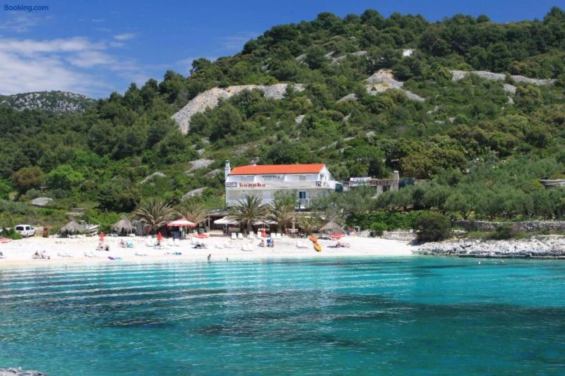 Rooms By The Sea Hvar - 8785