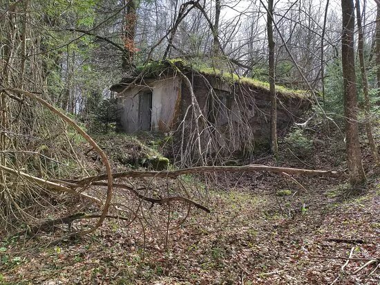 Klezni Gric