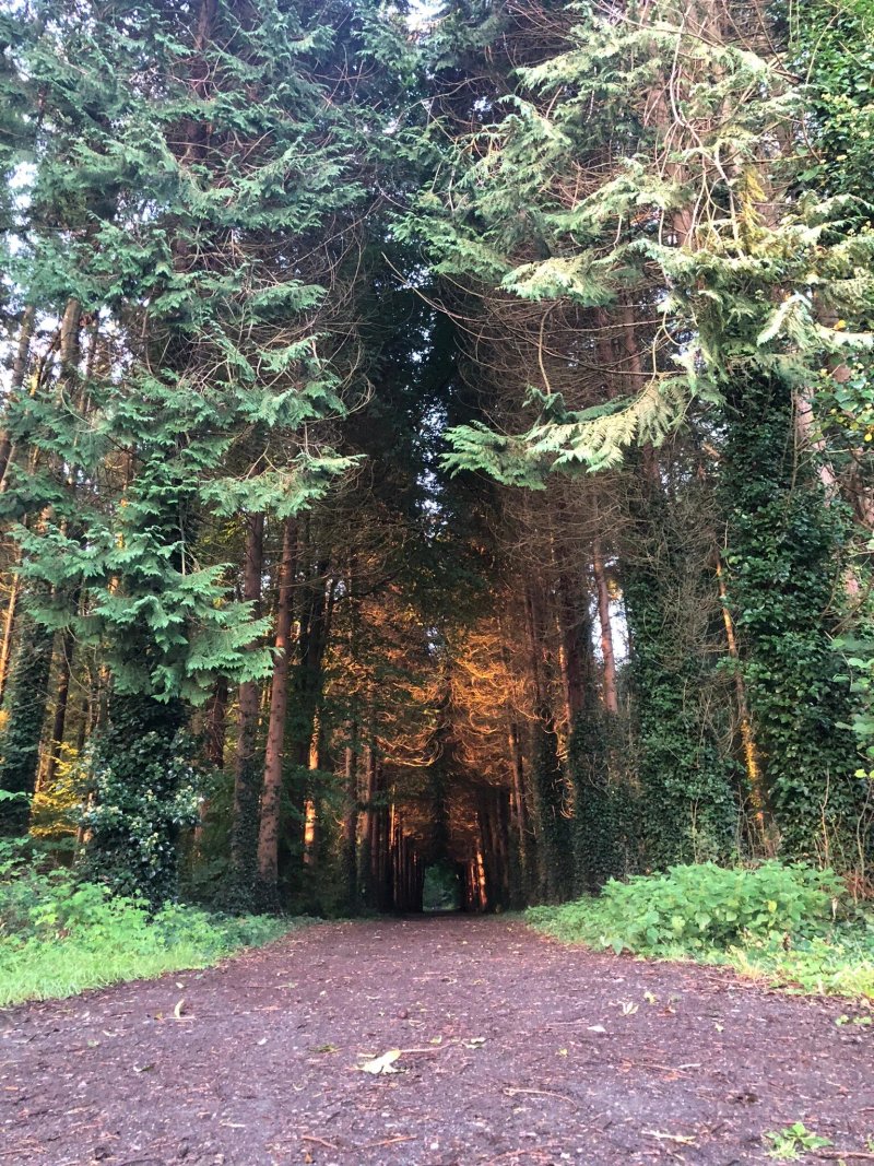 Moore Abbey Wood