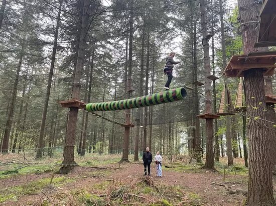 Acroforest