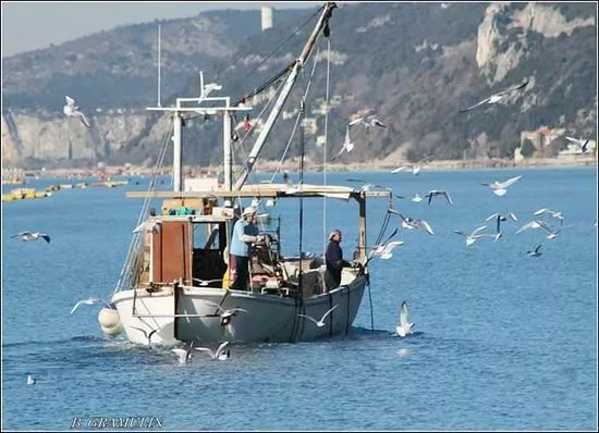 Nuova Laudamar Pescaturismo & Mitilicoltura