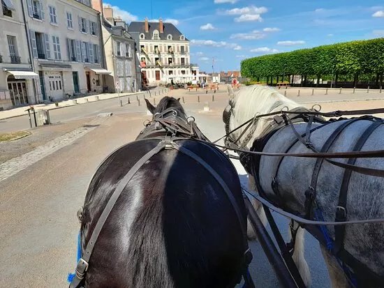 Les Attelages Du Chateau