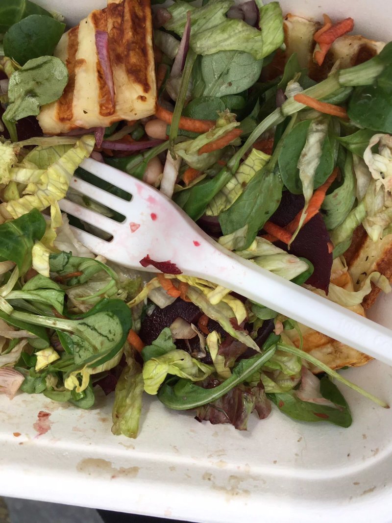 Jak Chces Salaterie