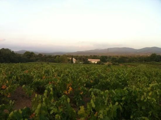 Domaine CROIX ROUSSE