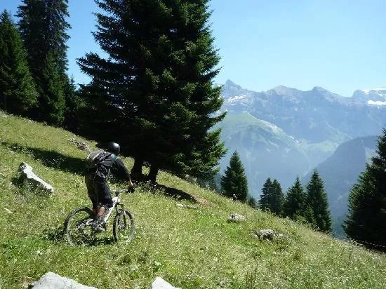Flowmtb, Mountain Bike Chalet