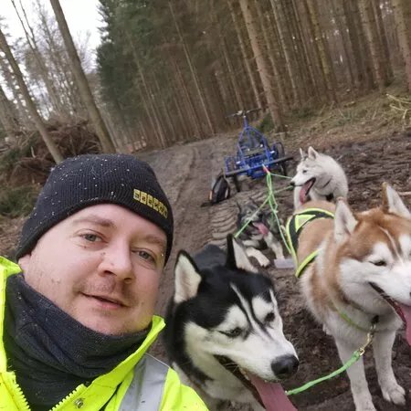 Husky Erlebnisse