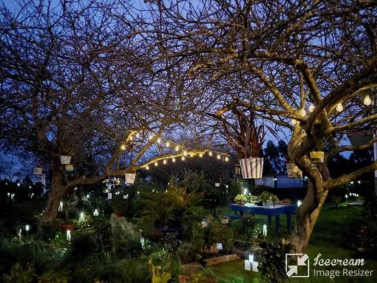 The Garden Molleda Jardines