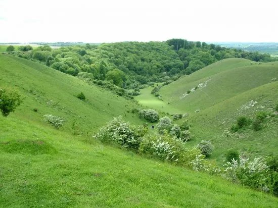 The Barton Hills National Nature Reserve