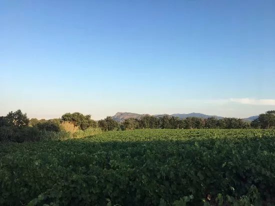 Domaine De Canta Rainette