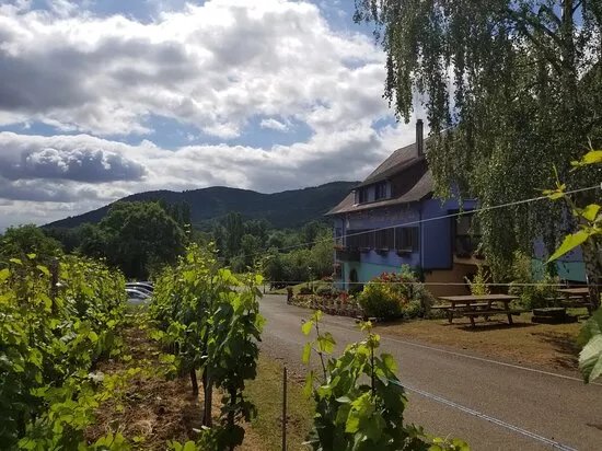 Domaine Alphonse Meyer