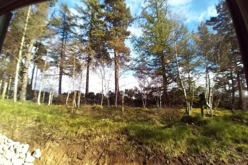 Sawmill Cottage, set in Woodland Beside the River Spey