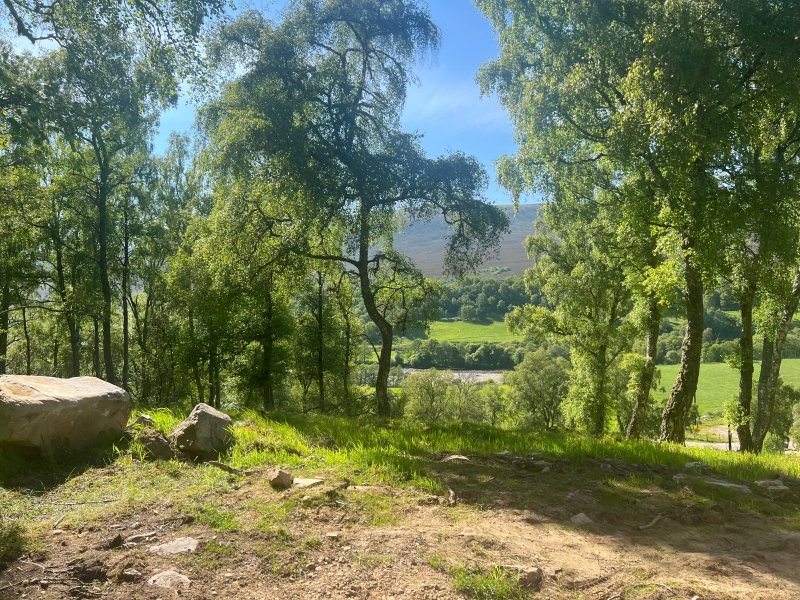 The Dell Glenlivet