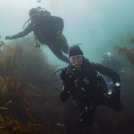 Easy Divers North Devon