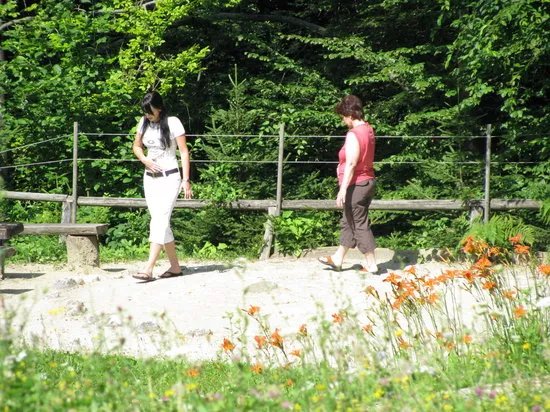 Natural Health Resort