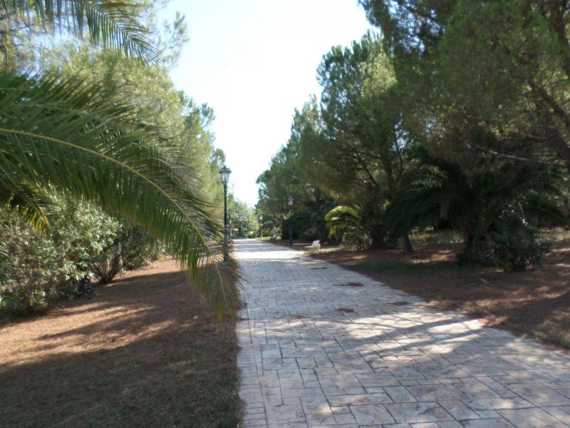 Torre San Pietro