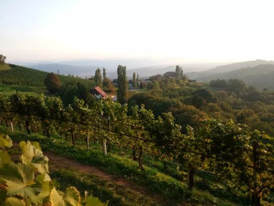 Tourismusverband Sulmtal Sausal - Suedsteirisches Weinland