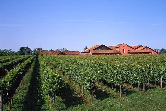 San Simone Di Brisotto Srl