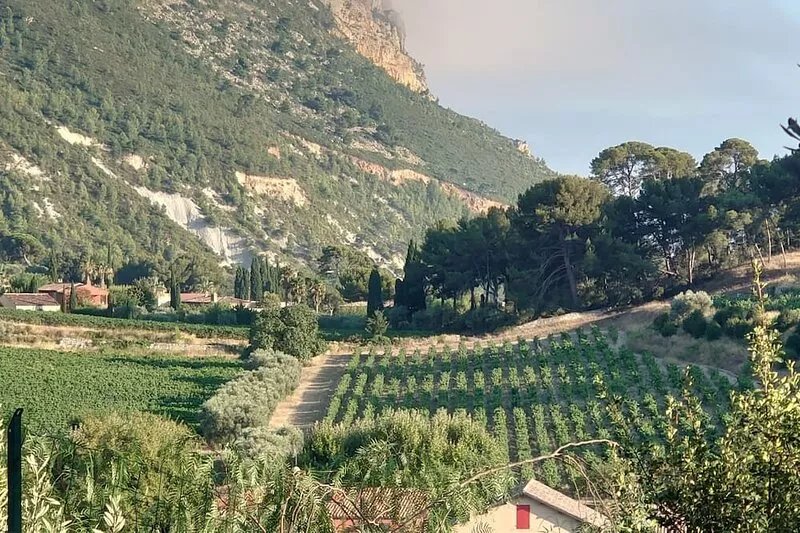 VILLA DE PRESTIGE 5* facing the sea, 15 minutes' walk from the port. Heated