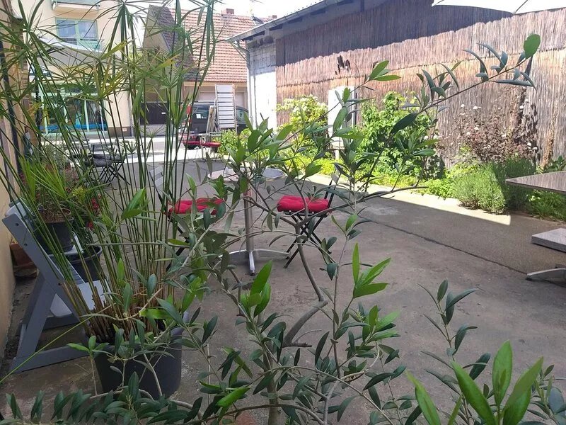 Living in modern apartments - with a culture cafe, vegetarian cuisine and more .