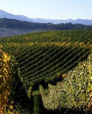 Domaine Cauhape