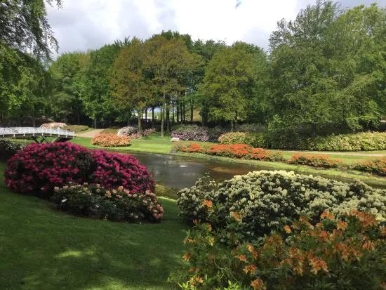 Rhododendron Park